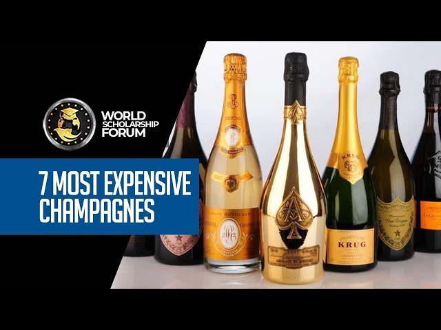 7 Most Expensive Champagnes