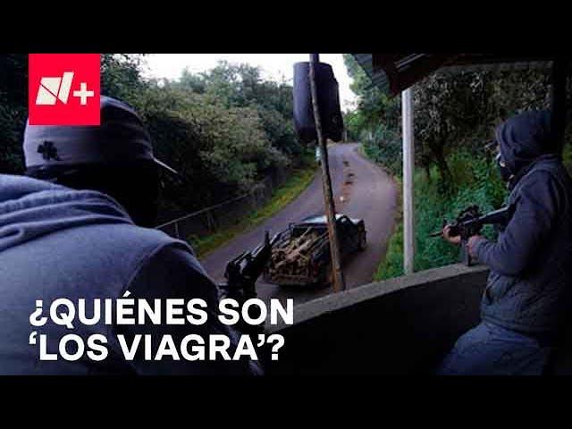 Los Viagra: El grupo más sanguinario en Michoacán - Despierta