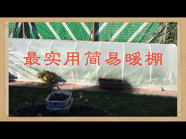 怎样搭建最实用简易暖棚