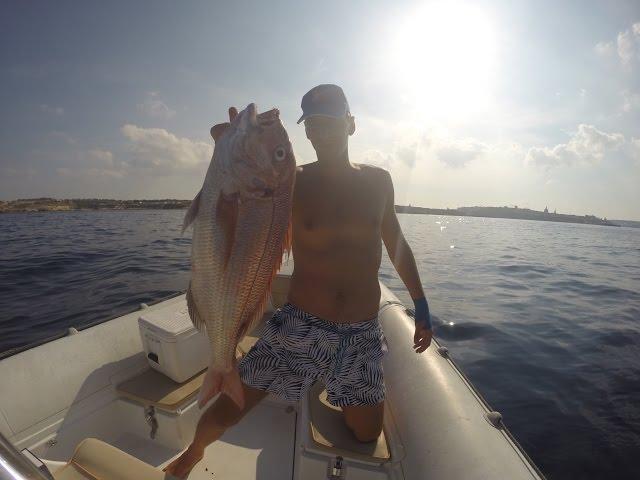 Red Snapper - Live Strike - Slow Pitch Jigging