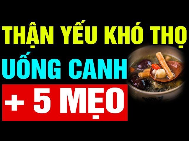 Nhắc Tuổi 70 79: CÁCH NẤU CANH DƯỠNG THẬN VÀ 4 LOẠI NƯỚC ĐỂ HỒI SINH THẬN SUY YẾU Sống Thọ