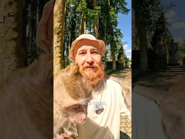 Плюсы Бали часть 5
