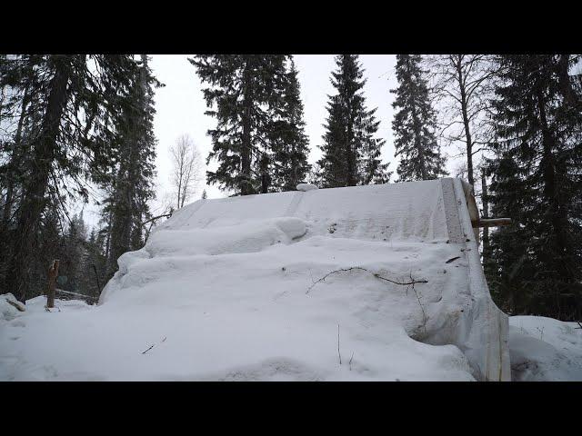 Monster Lake. Three days in the taiga. Large perch on a troll.