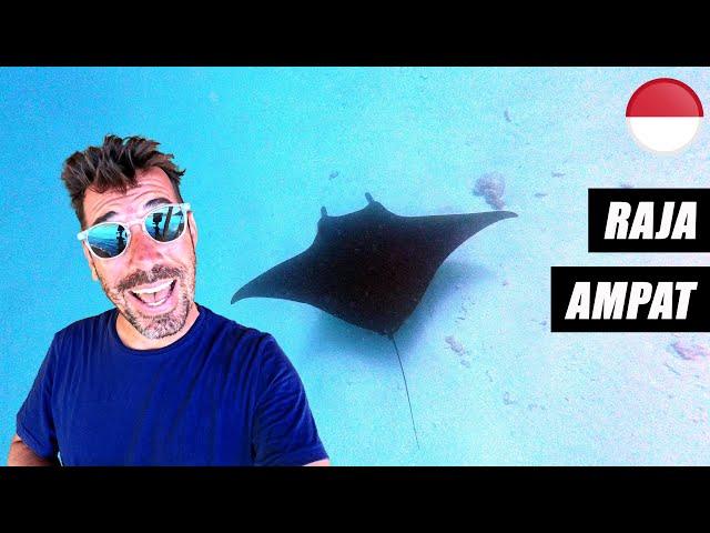 NAGER AVEC LES RAIES MANTA !  (RAJA AMPAT) | INDONÉSIE | #42