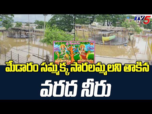 Medaram Sammakka Saralamma Temple Present Situation | Heavy Rains in Mulugu Dist | TV5 News