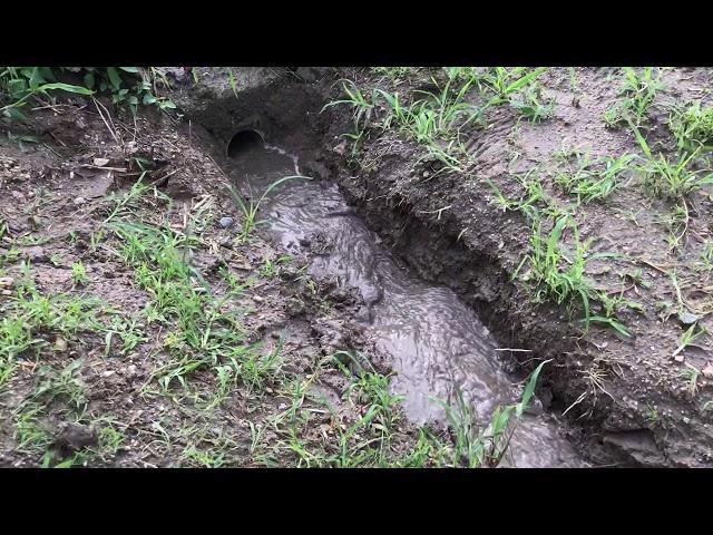 農地管理のための排水経路（降雨直後）