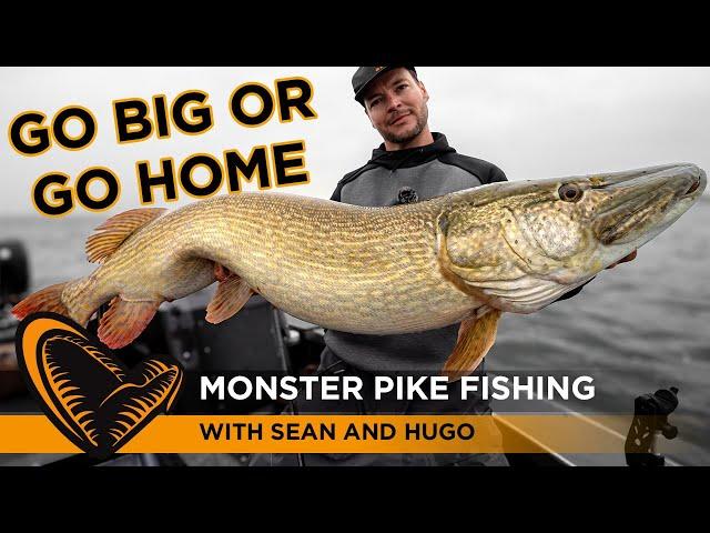 Monster Pike Fishing with Hugo and Sean - Casting huge baits