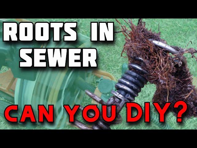 How to Remove Tree Roots from Sewer Pipe - How to Unclog Main Drain Line - Sewer Snake - Rootx