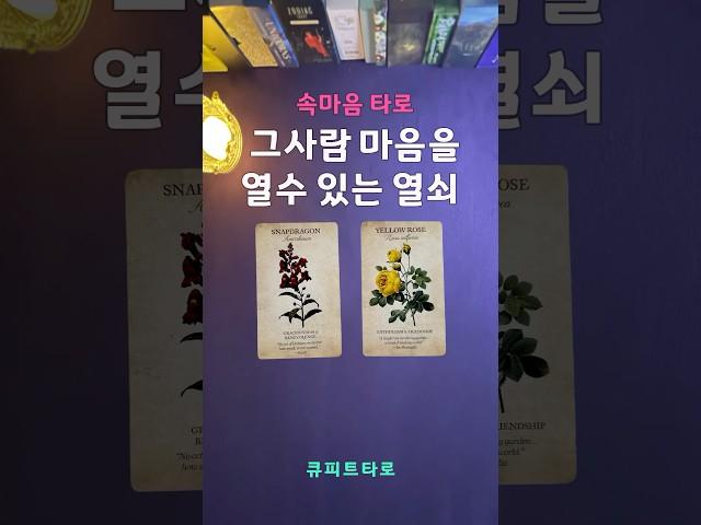 궁금한 그사람 속마음을 읽어주는 타로