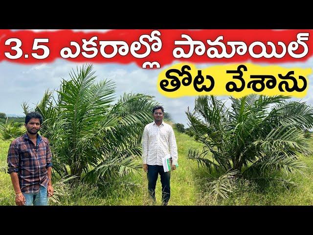 90 శాతం సబ్సిడీతో ఆయిల్ పామ్ వేశాను | Oil Palm | రైతు బడి