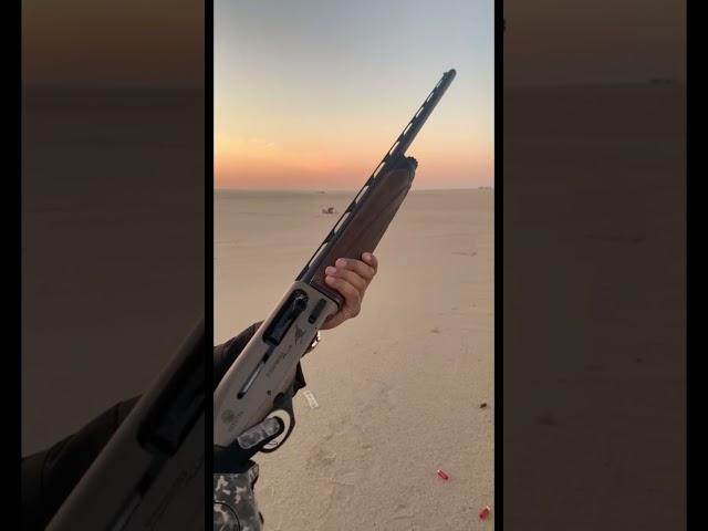 Beretta A400 extreme plus with comp pro 30” barrel. Rammai for hunting Co.