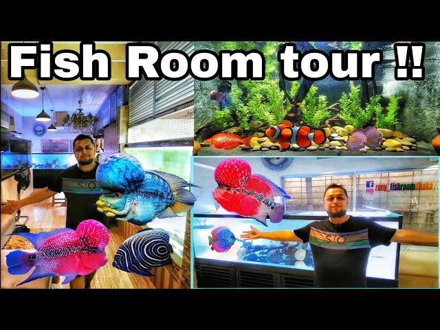 Fish Room Tour!! Monster fish tank|fiah price in bd|aquarium fish price in Bangladesh|fiah price||