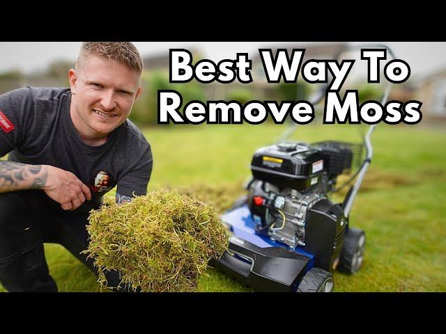 How to Remove Moss From a Lawn | Unbelievable 2 Stage Method 