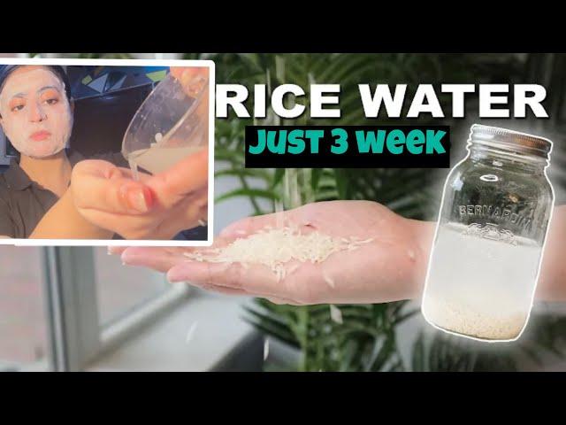 I used RICE WATER for 3 weeks and can’t believe the results | Dr she