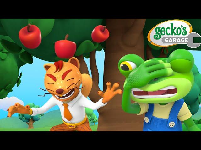 An Apple A Day! | Gecko's Garage | Cars & Truck Videos for Kids