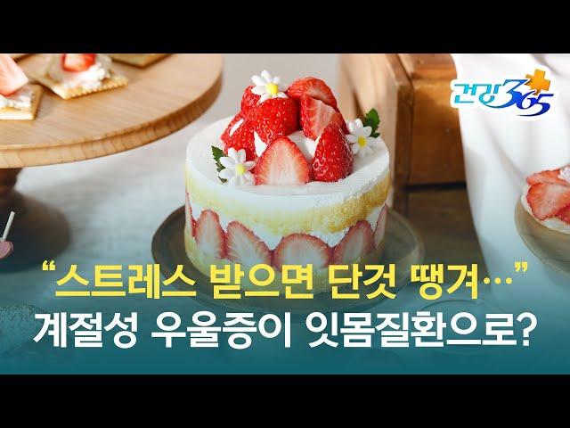 디지털 임플란트 바로 알기 | 스트레스 받으면 단것 땡기는 분들! 정기적 치아 관리는 필수입니다!