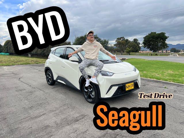 BYD Seagull - El carro que vino a romper el mercado - TEST DRIVE 