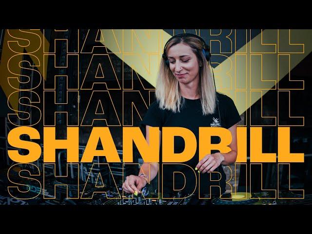 Shandrill - Beats For Love 2024 | Drum and Bass