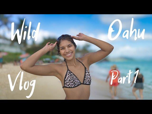 3 epic days in Oahu Hawaii!