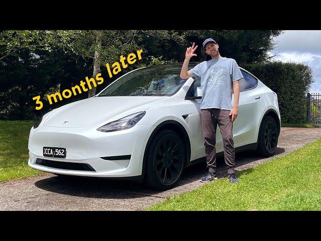 2022 Tesla Model Y - 3 Months Later