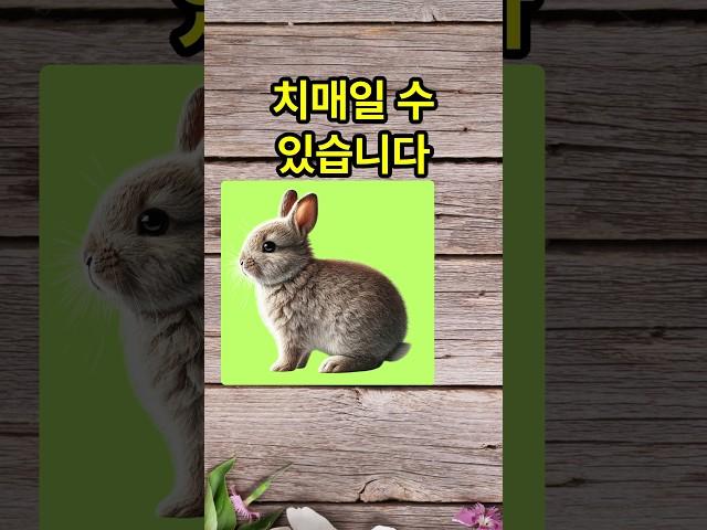 내가 치매일 수도 있다고?