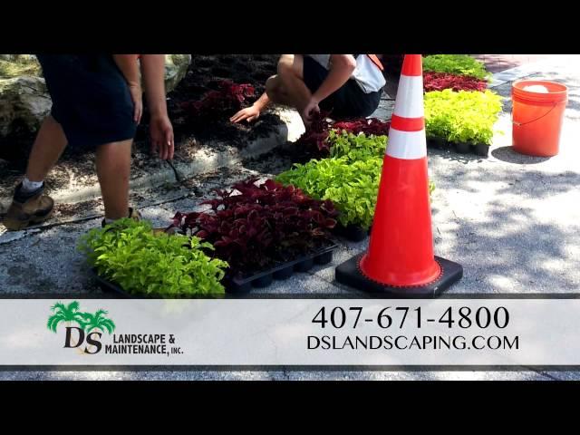 landscape maintenance Winter Park - D.S Landscape & Maintenance