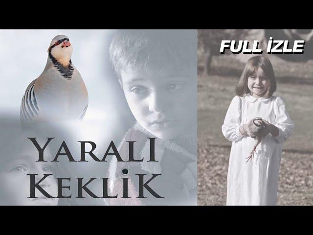 Yaralı Keklik | 2017 - Alper Pehlivan, İbrahim Kalkan, Dilek Canbay