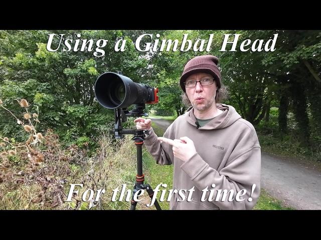 KentFaith K&F Concept Gimbal Head review - first time using a gimbal!