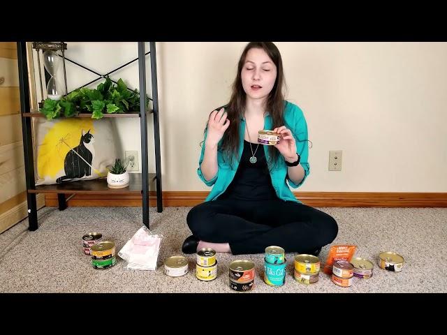 Wellness CORE Turkey & Chicken Kitten Food Review (We Tried It)