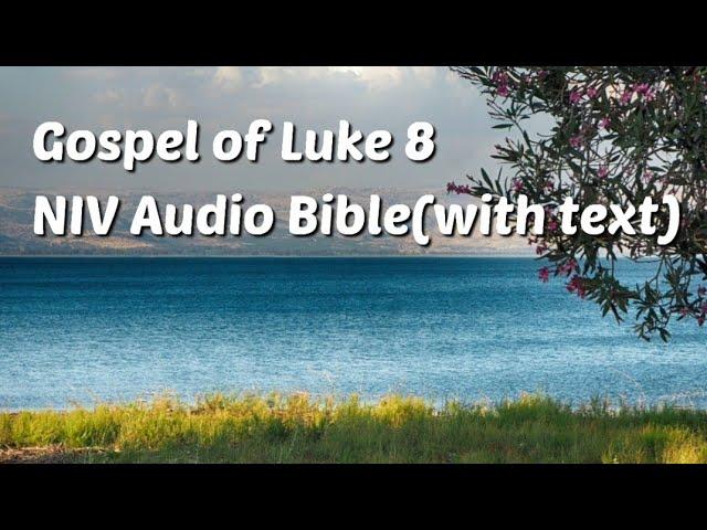 Luke 8: NIV Audio Bible(with text)