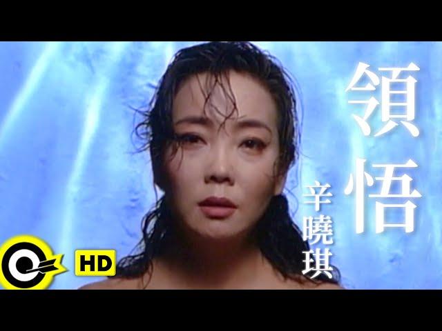 辛曉琪 Winnie Hsin【領悟 Understanding】Official Music Video