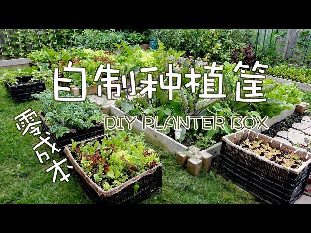 自制种植筐(零成本）  DIY PLANTER BOX