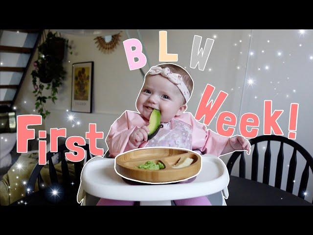 How To Wean Your Baby | BABY LED WEANING | my baby’s first week eating solids 6 months