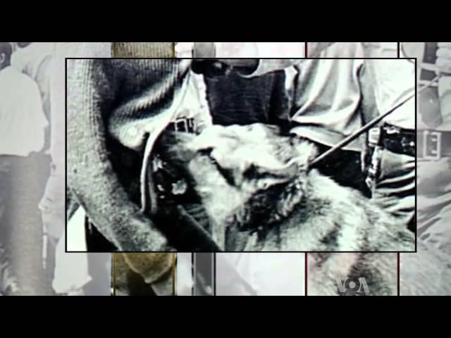 US Civil Rights Movement Benefits From Non-Violent Strategy