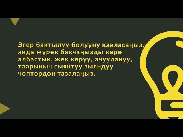 Асыл ойлор.Сонун акыл-насаатар бир гана акылдуу,нарктуу,барктуу инсандардан гана чыгышы мүмкүн 2-блк