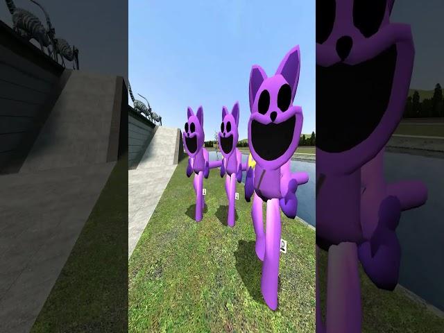 All Cat Nap Nextbot Gmod