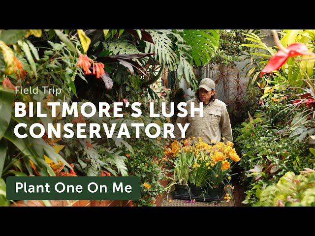 BILTMORE ESTATE Conservatory Tour — Ep. 371