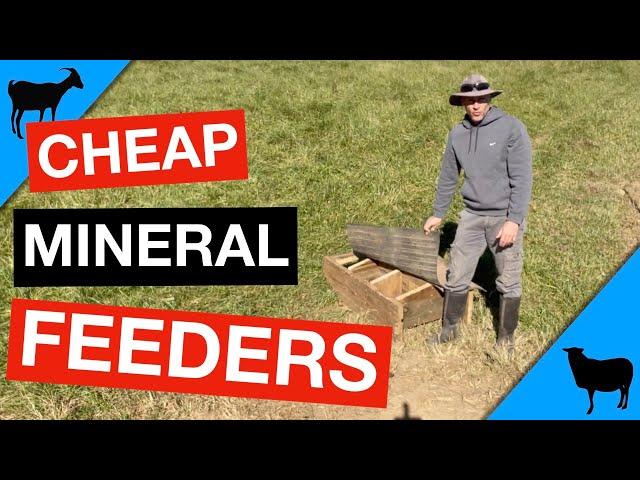 Economical Goat and Sheep Mineral Feeders