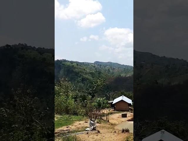 Amazing hilltracks of Bangladesh.#shorts# Khagrachhari #hills#mountains# youtube