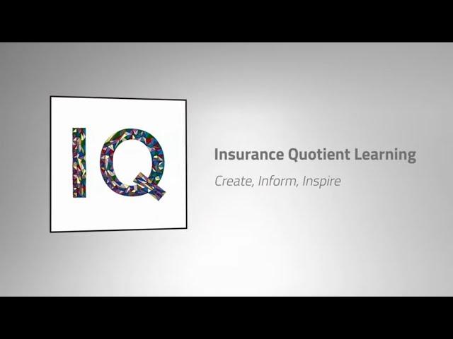 IQ Learning- The Agency Relation to the Principles that define Ethics