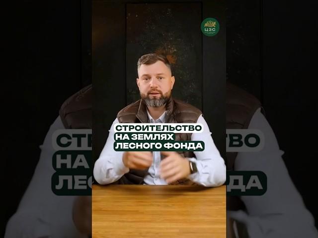 Участки лесного фонда: особенности и риски