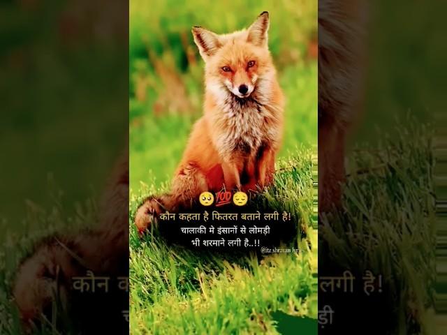 #motivation #sort #video #dhanraj #singh#subscribemychannel 