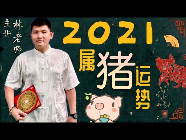 2021年属猪运势-永和资讯站