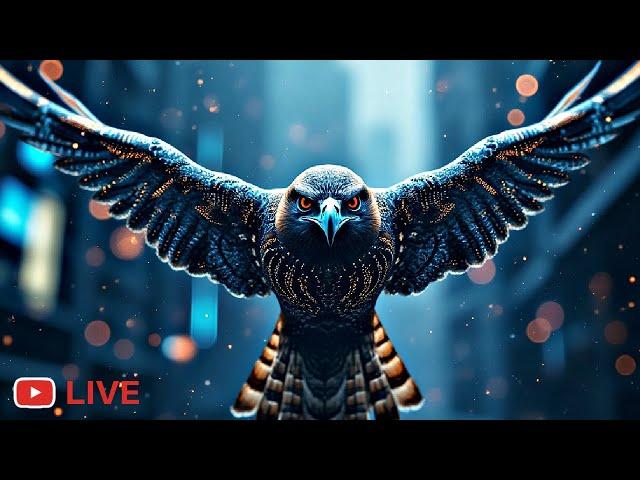 Hawk Talk - Thursday Night LIVE | Bitcoin ATH! | Trump Crypto Administration!