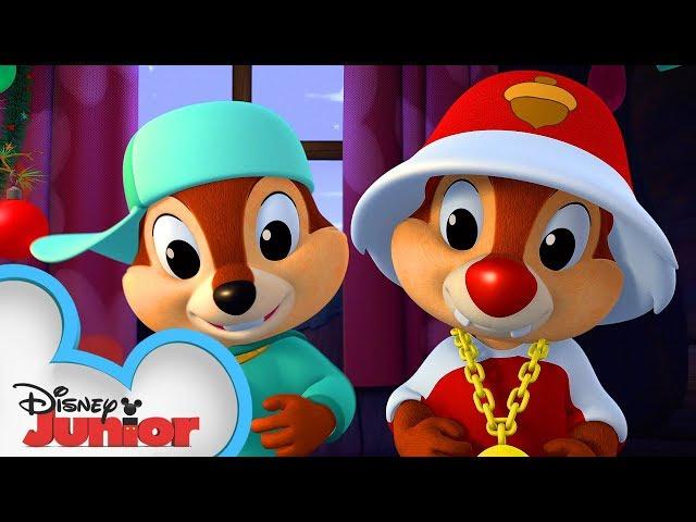 Tinsel Tussle!  | Chip 'N Dale's Nutty Tales | Disney Junior