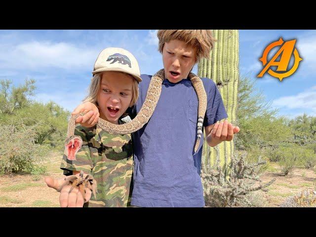 Rattlesnake Scorpion and Tarantula Catch and Cook in Arizona