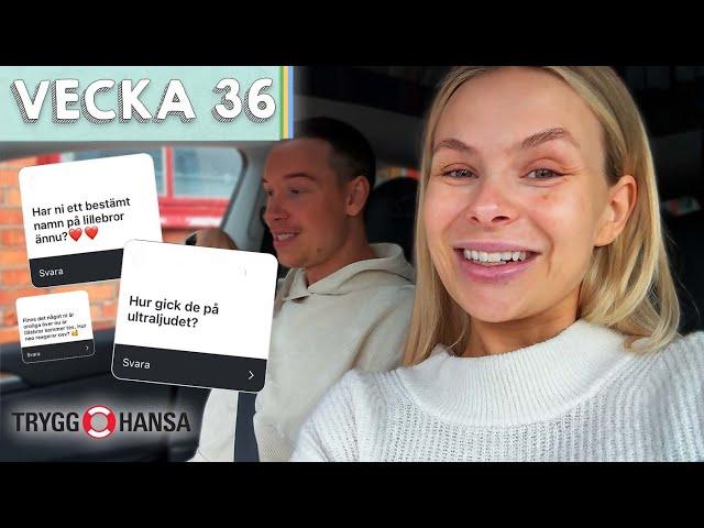 GRAVID Q&A! Valt namn, senaste ultraljudet & oro  - Caroline & Ben vecka 36