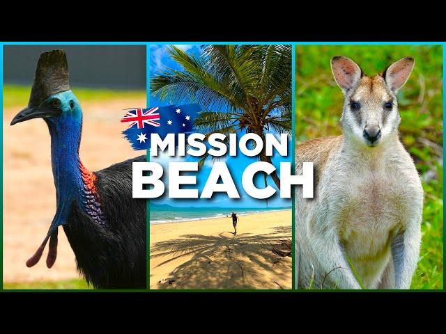 MISSION BEACH: Searching for LIVING DINOSAURS  in Australia! Amazing BEACH & RAINFOREST in 4K