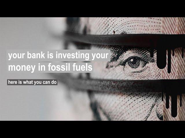 THE IMPACT OF BANKS // the green guide to banks and investments