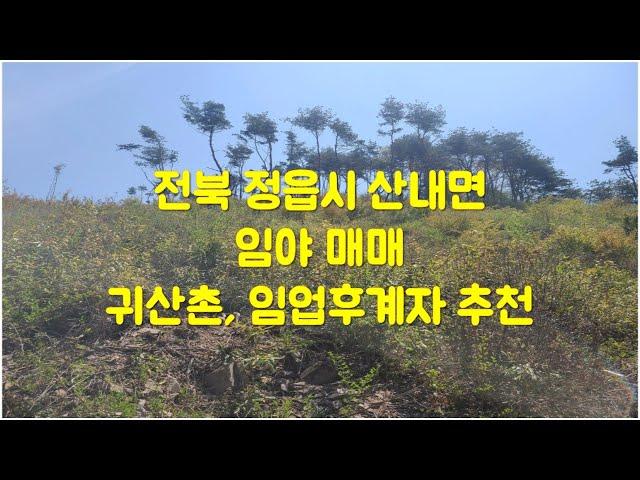 전북 정읍시 산내면 임야매매 (귀산촌,임업후계자 추천) #수종갱신  #산림조합 #임업후계자 #귀산촌